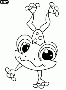 zaba-od-nejmensi-pet-shop_4efd981d91ae2-p.gif